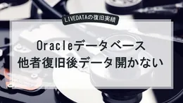 ORA-01578エラーのORACLEからデータ復旧に成功