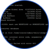 Oracle Database 11g Enterprise Edition 11.2.0.4.0 64bit Production - SQL CLI 環境で select count(*) クエリでテーブルデータ 417362 件復旧検証画面