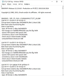 dbv ユーティリティで CIT_01.DBF ファイルブロック損傷調査結果