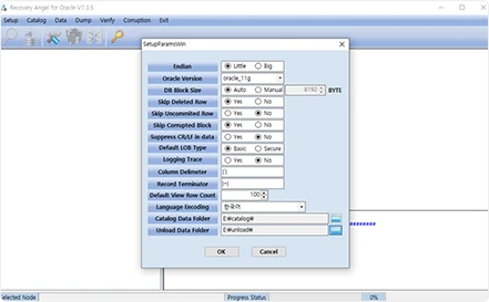 Recovery Angel for Oracle パラメータセットアップ画面