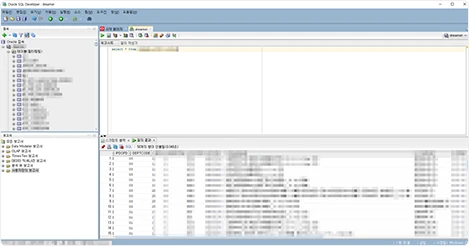 新規 Oracle DB へデータ import および SQL クエリ検証画面