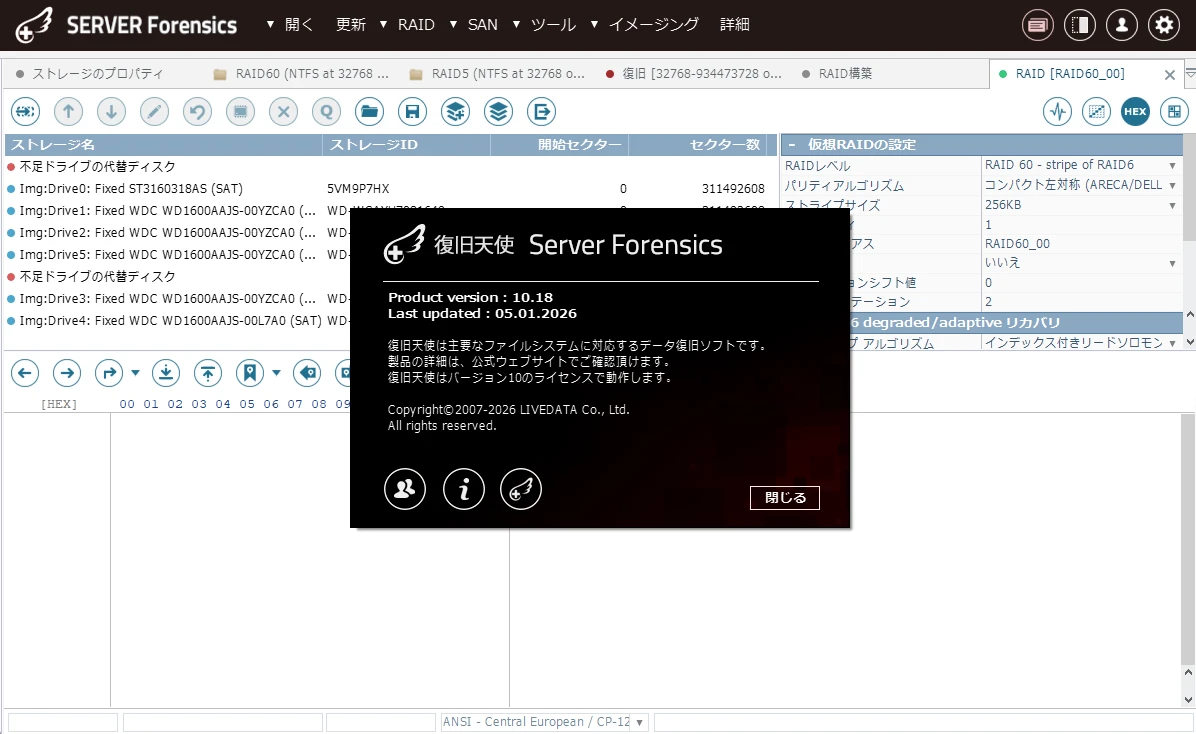 復旧天使 自社 Server Forensics 分析ツール — RAID 構造分析画面
